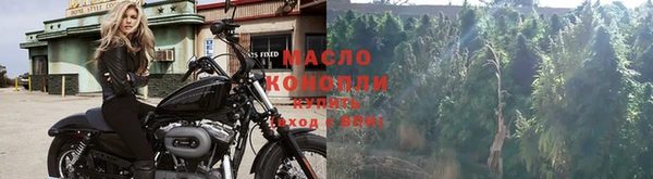 ГАЛЛЮЦИНОГЕННЫЕ ГРИБЫ Пестово