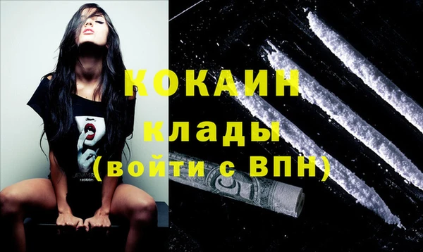 ГАЛЛЮЦИНОГЕННЫЕ ГРИБЫ Пестово